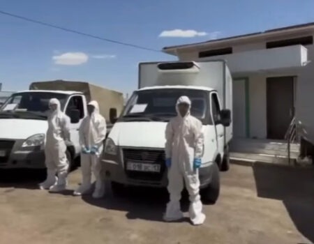 Шымкент қаласында ветеринариялық-санитариялық өңдеудің кезекті кезеңі басталды