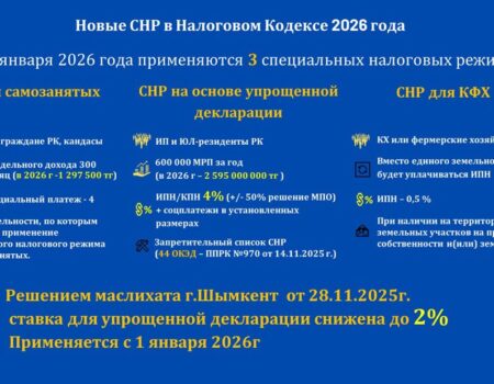 В ШЫМКЕНТЕ СТАВКА СНР ПО УПРОЩЁННОЙ ДЕКЛАРАЦИИ СНИЖЕНА ДО 2%