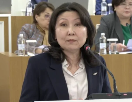 Болашаққа бағдар: Философия институтының директоры жаңа Конституция жобанысының үш негізгі басымдығын атады