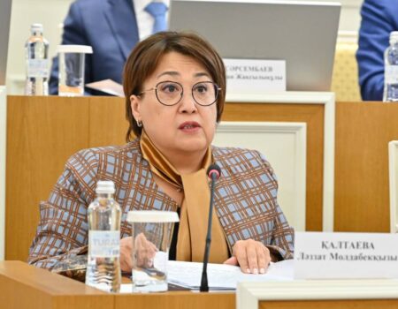 Новая Конституция РК соответствует всем современным принципам инклюзии – Ляззат Калтаева