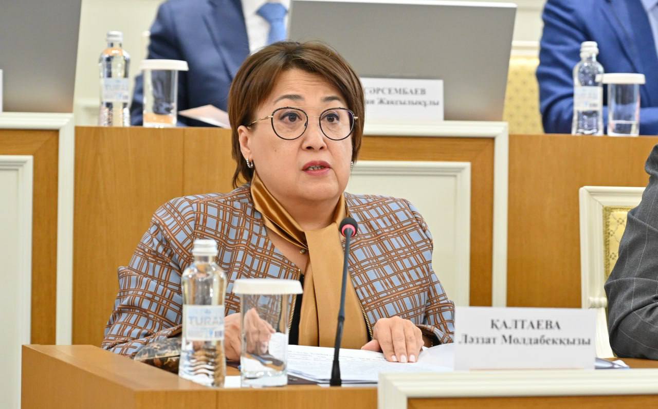 Жаңа Конституция инклюзияның барлық заманауи принциптеріне сай келеді – Ләззат Қалтаева