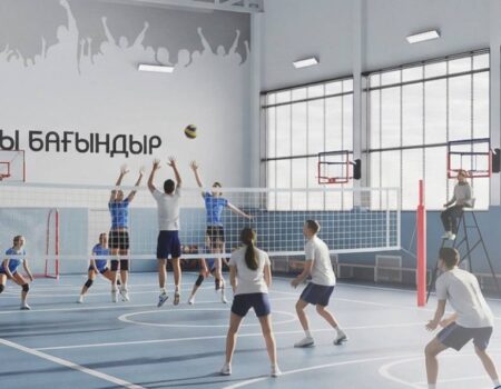 Елімізде мемлекеттік-жекеменшік әріптестік аясында алғашқы спорт нысанының құрылысы басталды