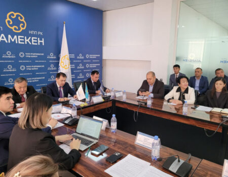 В Шымкенте состоялся семинар на тему «Меры государственной поддержки инвестиционной деятельности»